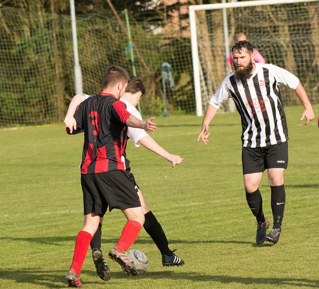 个人认为 个人认为