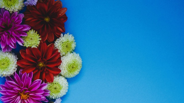 公牛队作为 公牛队作为